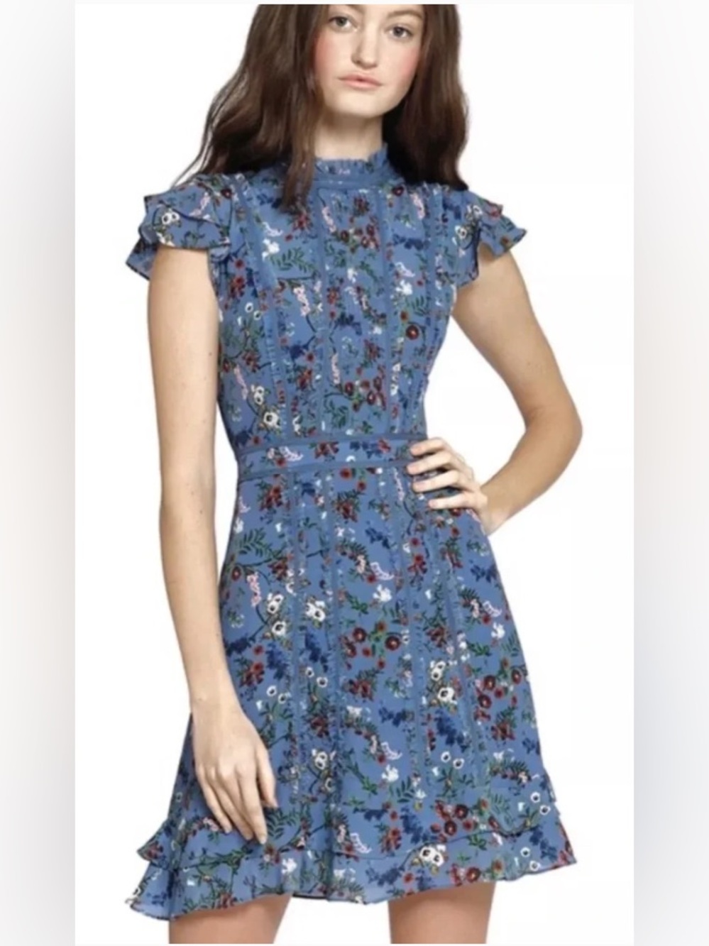 Alice + Olivia Blue Floral Ruffle Sleeve Fit-and-Flare Dress